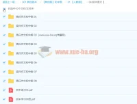 袁氏作文初中版：初中语文作文写作课程