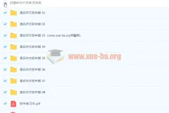 袁氏作文初中版：初中语文作文写作课程