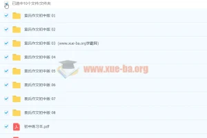 袁氏作文初中版：初中语文作文写作课程