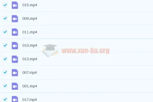 拼音基础启蒙20集动画课程