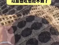 李鲆短视频带货实战指南：电商新手与内容创作者的带货秘籍