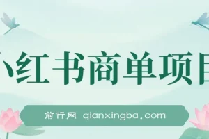 小红书商单项目：2023年热门蓝海涨粉变现课程