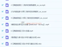 魏爽 2024 初一数学北师版 S 春季班课程