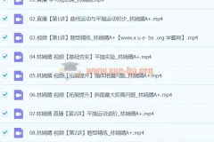 2024高一林婉晴物理寒假班（A+）