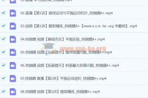 2024高一林婉晴物理寒假班（A+）