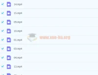 培优素养共读：经典名著《爱丽丝梦游仙境》