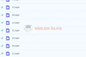 培优素养共读：经典名著《爱丽丝梦游仙境》