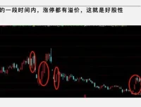 大柚子笔记：2024年4月大柚子盘面深度学柚儿园专属解读