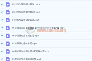 大学英语四级语法基础巩固14课时课程