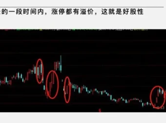 大柚子笔记：2024年4月大柚子盘面深度学柚儿园专属解读