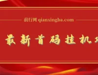 全网最新首码挂机项目：带有管道收益，轻松日入1000+无上限