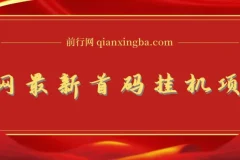 全网最新首码挂机项目：带有管道收益，轻松日入1000+无上限