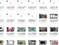 《柏林说：世界形势大观 2025 视频合集》