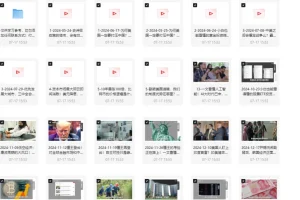 《柏林说：世界形势大观 2025 视频合集》