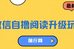 微信自撸阅读升级玩法：轻松赚取收益项目介绍