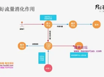 Pai爷20讲：从0到1掌握爆款内容运营技巧