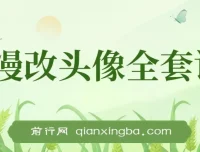 AI漫改头像实操变现全套课程：小白轻松上手