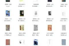 武术类书籍与电子书合集