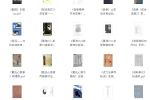 武术类书籍与电子书合集