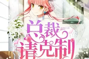 《错嫁惊婚：总裁请克制》有声小说 双播：沈念如、云天河 全871集完结