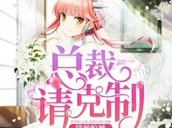 《错嫁惊婚：总裁请克制》有声小说 双播：沈念如、云天河 全871集完结