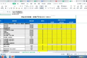 财务BP实战训练：从基础构建到体系落地（财会成长学苑）