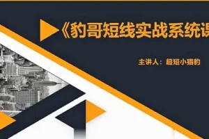 超短小猎豹《豹哥股票短线实战系统课》