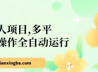 多平台全自动网创懒人项目：头条、公众号实操指南