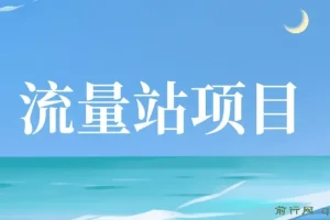 张子豪流量站项目：网站运营与优化教程
