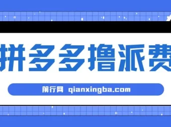 拼多多撸派费软件：全自动运行项目工具