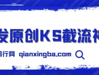 首发原创KS截流神器：手机端ID采集截流工具