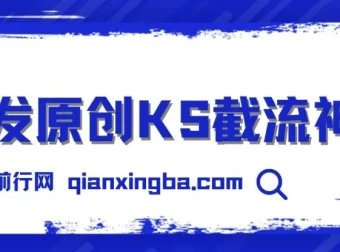 首发原创KS截流神器：手机端ID采集截流工具