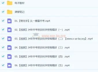 杨雯智2024初三中考化学冲刺密训班