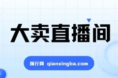 大卖直播间：抖音直播运营课程