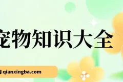 宠物知识大全课程：小众蓝海项目，收益稳定