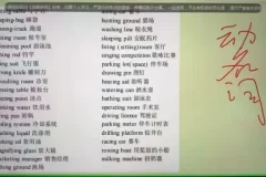 英语语法考试高分秘籍：20讲全面掌握核心语法要点