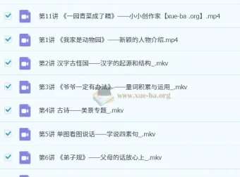【2023秋上幼升一】苏哲一年级小学语文A+课程