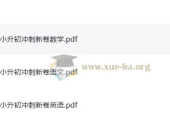 《一本小升初冲刺新卷》：助力小升初备考