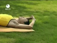 付费健身VIP课程大合集：全方位专业健身指南