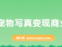 AI宠物写真变现商业课：全网爆火的AI宠物肖像定制项目