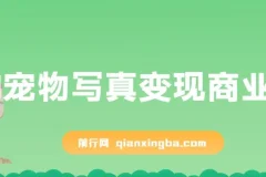 AI宠物写真变现商业课：全网爆火的AI宠物肖像定制项目