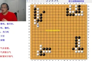 蔡立斌零基础围棋入门：20天从规则到实战课程