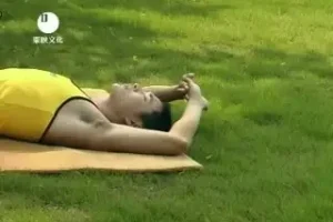 付费健身VIP课程大合集：全方位专业健身指南