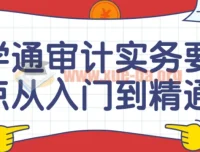 学通审计实务要点：从入门到精通课程