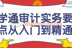 学通审计实务要点：从入门到精通课程