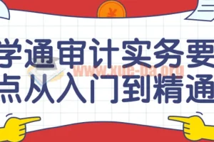 学通审计实务要点：从入门到精通课程