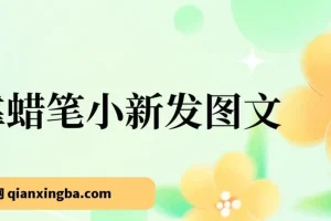 靠蜡笔小新发图文涨粉项目：小白也能轻松上手