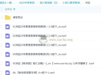 刘岩 2025 初三数学中考数学密训班