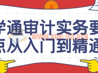 学通审计实务要点：从入门到精通课程