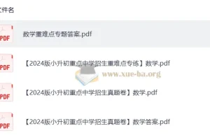 2024版小升初重点中学招生数学真题卷与重难点练习卷